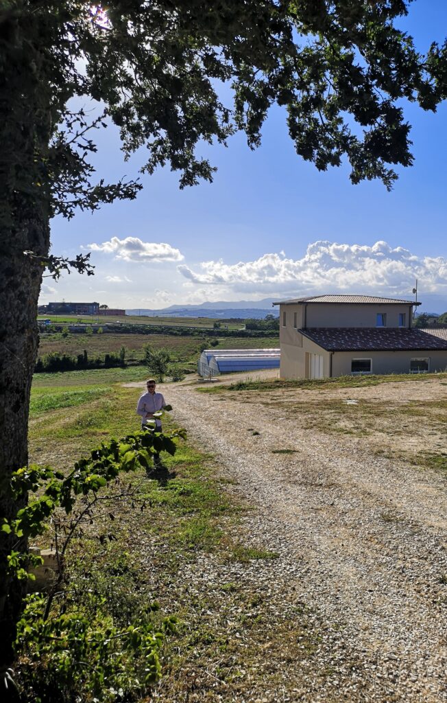 Vendita Piante da Tartufo Umbria